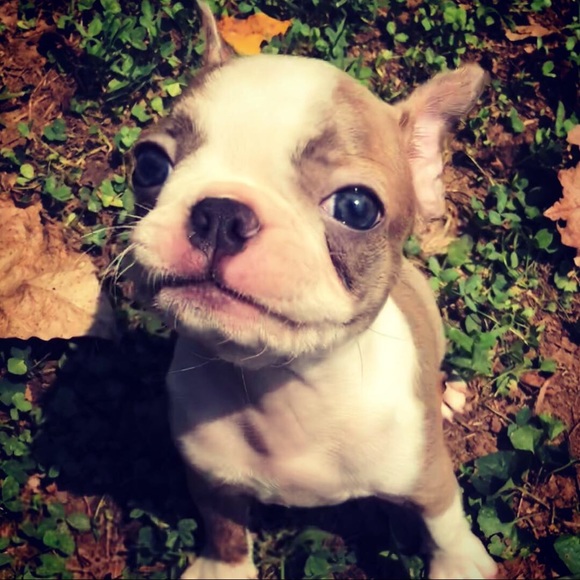 Meet your Posher, Daniel - Picture 1 of 1